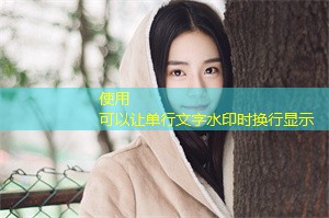 上海对外援助与内政优先事项